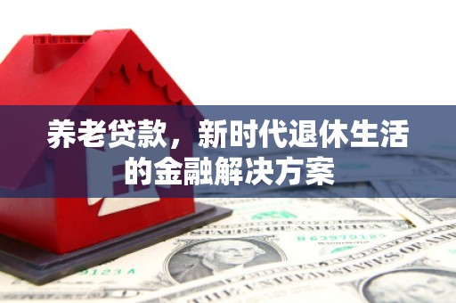 邓州养老贷款，新时代退休生活的金融解决方案