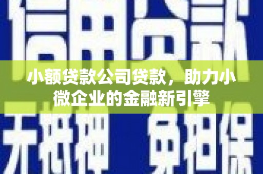 邓州小额贷款公司贷款，助力小微企业的金融新引擎