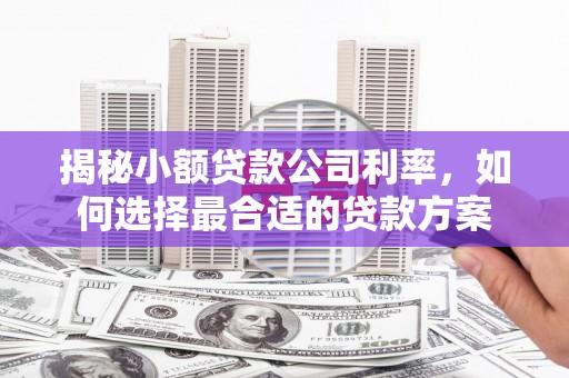 邓州揭秘小额贷款公司利率，如何选择最合适的贷款方案