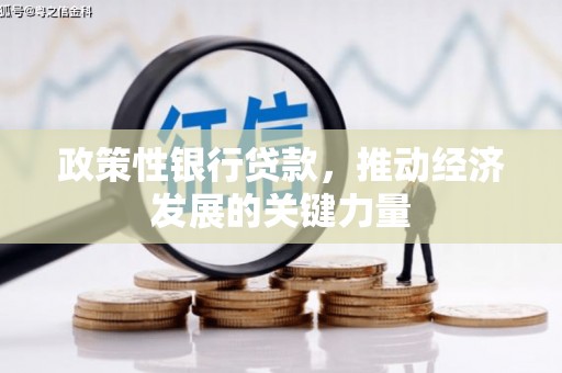 邓州政策性银行贷款，推动经济发展的关键力量