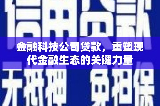 邓州金融科技公司贷款，重塑现代金融生态的关键力量
