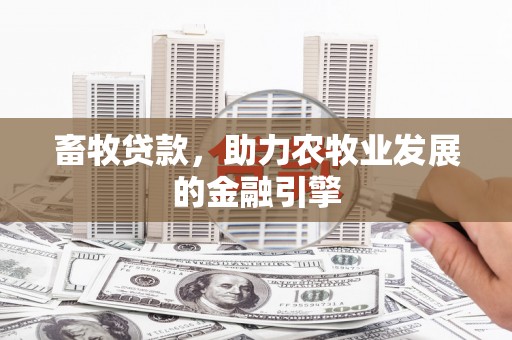 邓州畜牧贷款，助力农牧业发展的金融引擎