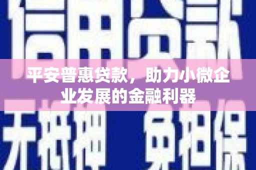 邓州平安普惠贷款，助力小微企业发展的金融利器