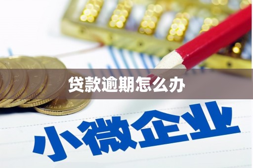 邓州贷款逾期怎么办