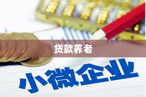 邓州贷款养老