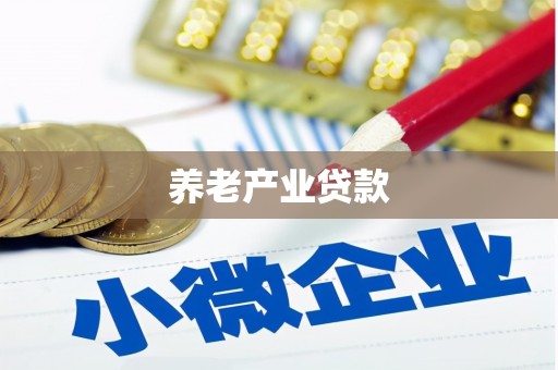 邓州养老产业贷款