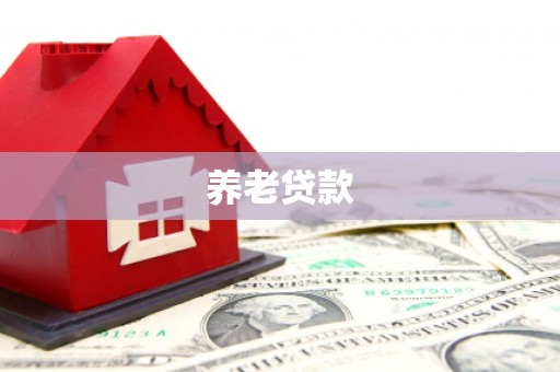 邓州养老贷款