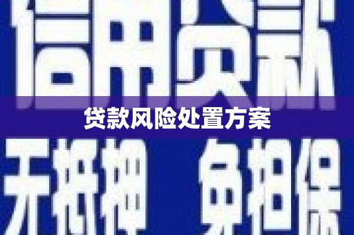 邓州贷款风险处置方案
